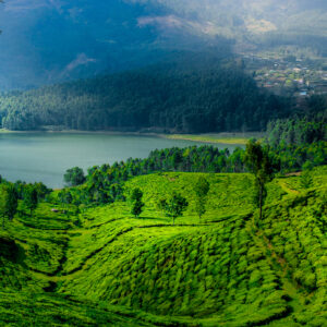 Sri Lanka Summer Bliss